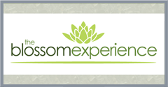 Blossom Experience logo - 2011
